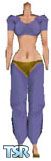 Sims 1 — Harem Set by Lamia — Bring a touch of the Arabian Nights to your neighborhood with this harem set. Three outfits