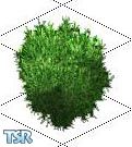 Sims 1 — Bush Reliever by Food Fightin Sim — Do your Sims spend a lot of time outside? Are they sometimes so desperate to