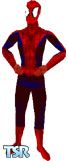 Sims 1 — Spider-Man by DarkJared — This is my favorite skin. I love Spider-Man and this one really captures the feel of