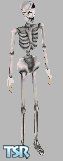 Sims 1 — Skelleton by Niko Watts — One of the skelleton Pirates From Curse of monkey island