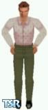 Sims 1 — Zig Zag by Eric Hammer — Reds is modelling a brown shirt with a pattern that doesn't show on the .jpg, and green