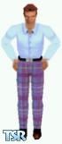 Sims 1 — Blue Plaid by Eric Hammer — Reds is nostalgic in a blue shirt and blue window pane plaid pants. I regret there